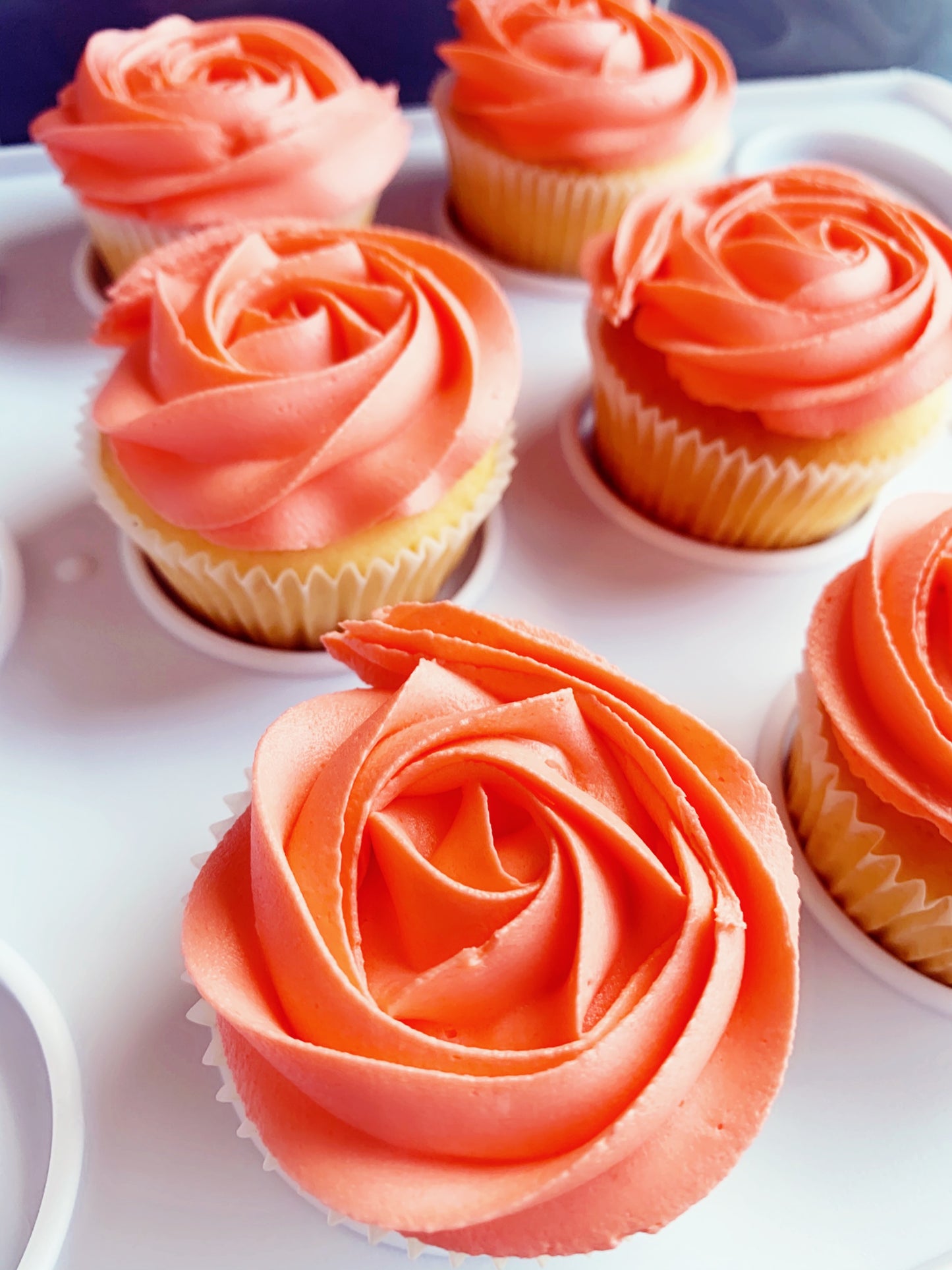 CUPCAKES - Standard